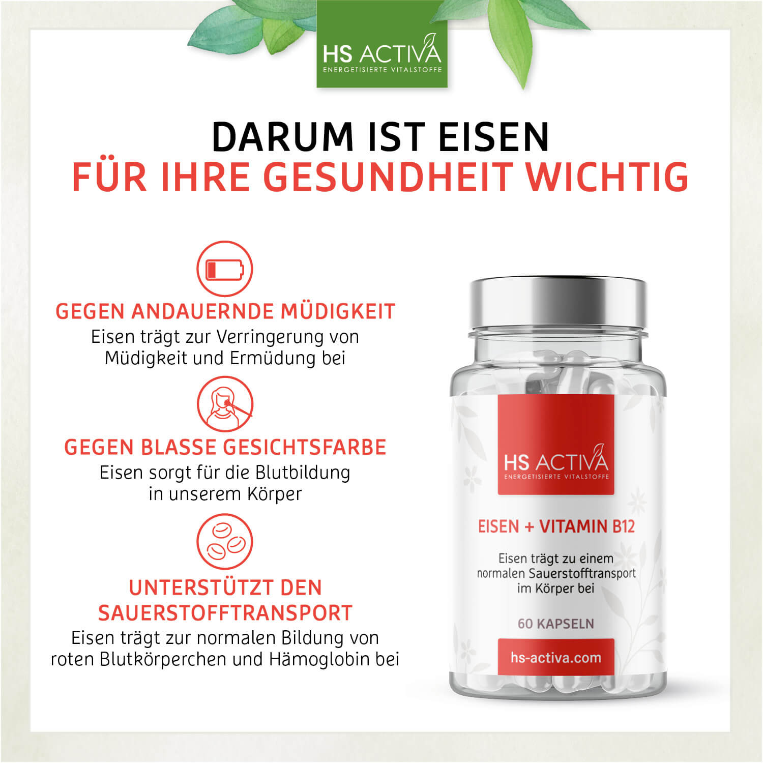 Eisen + Vitamin B12