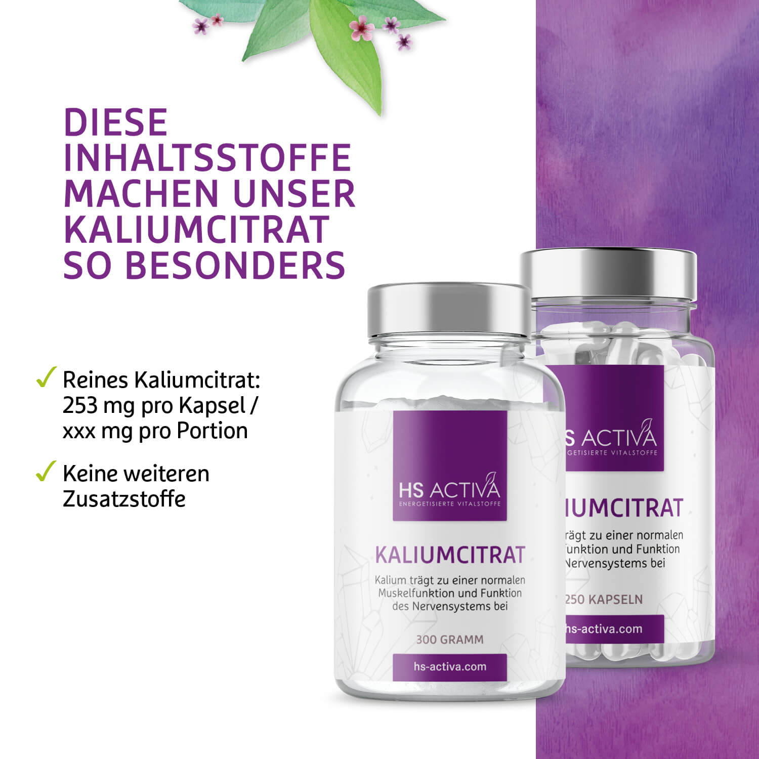 Kalium Citrat (250 Kapseln oder 300 g Pulver)