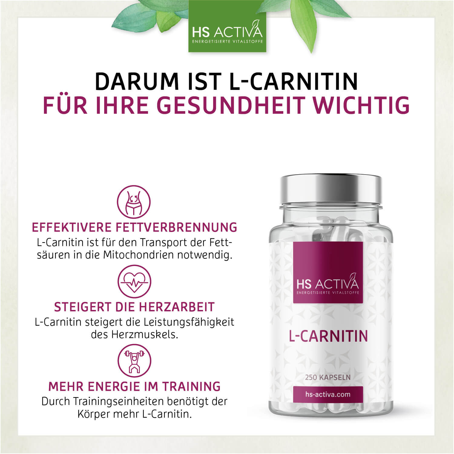 L-Carnitin (Großpackung: 250 Kapseln)