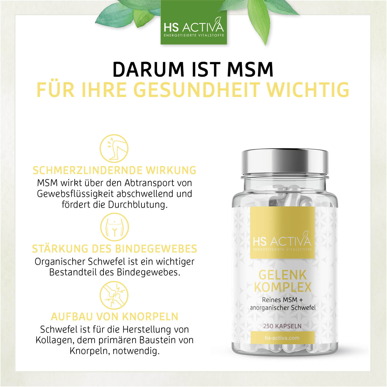 Gelenk Komplex (MSM Plus Schwefel) - 250 Kapseln