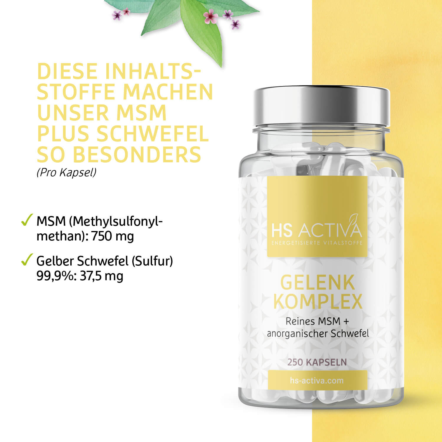 Gelenk Komplex (MSM Plus Schwefel) - 250 Kapseln