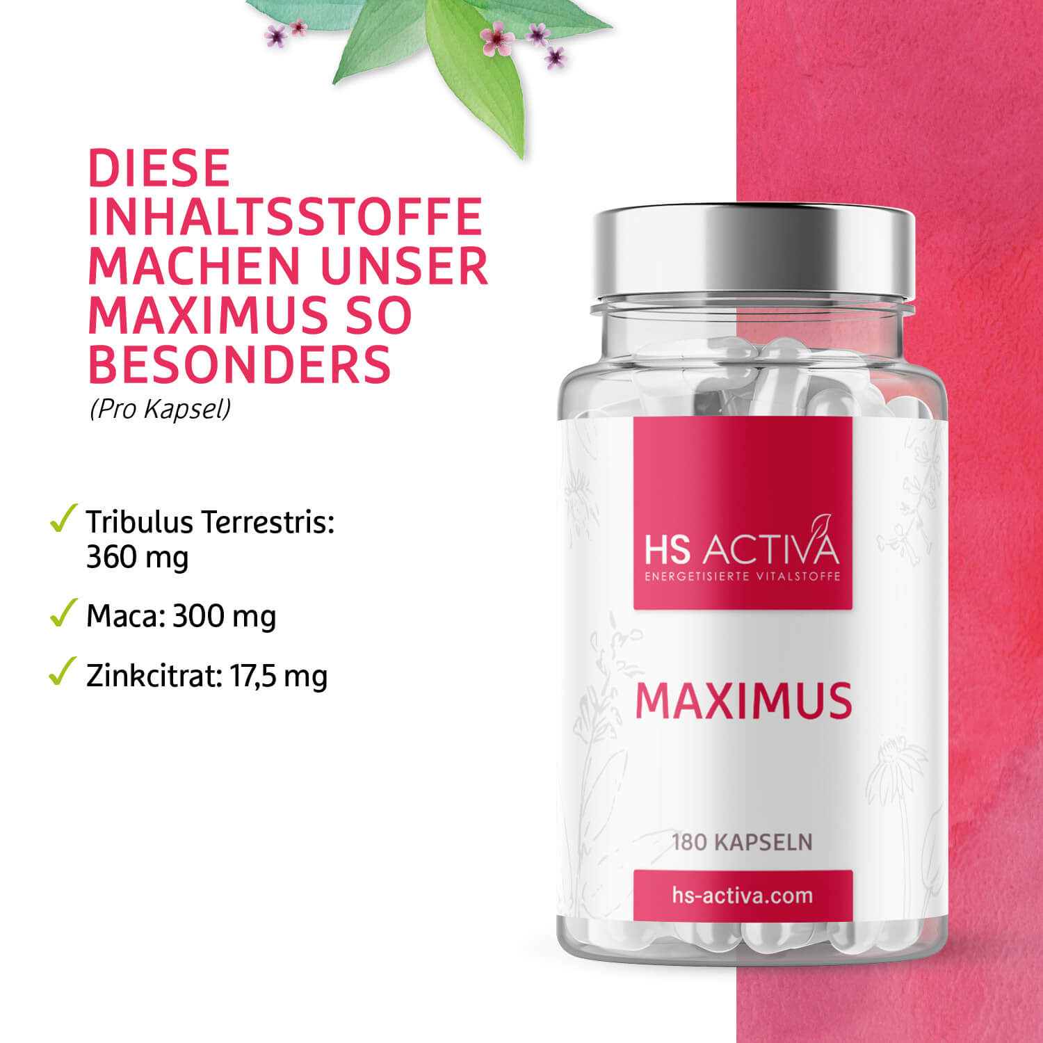 Maximus