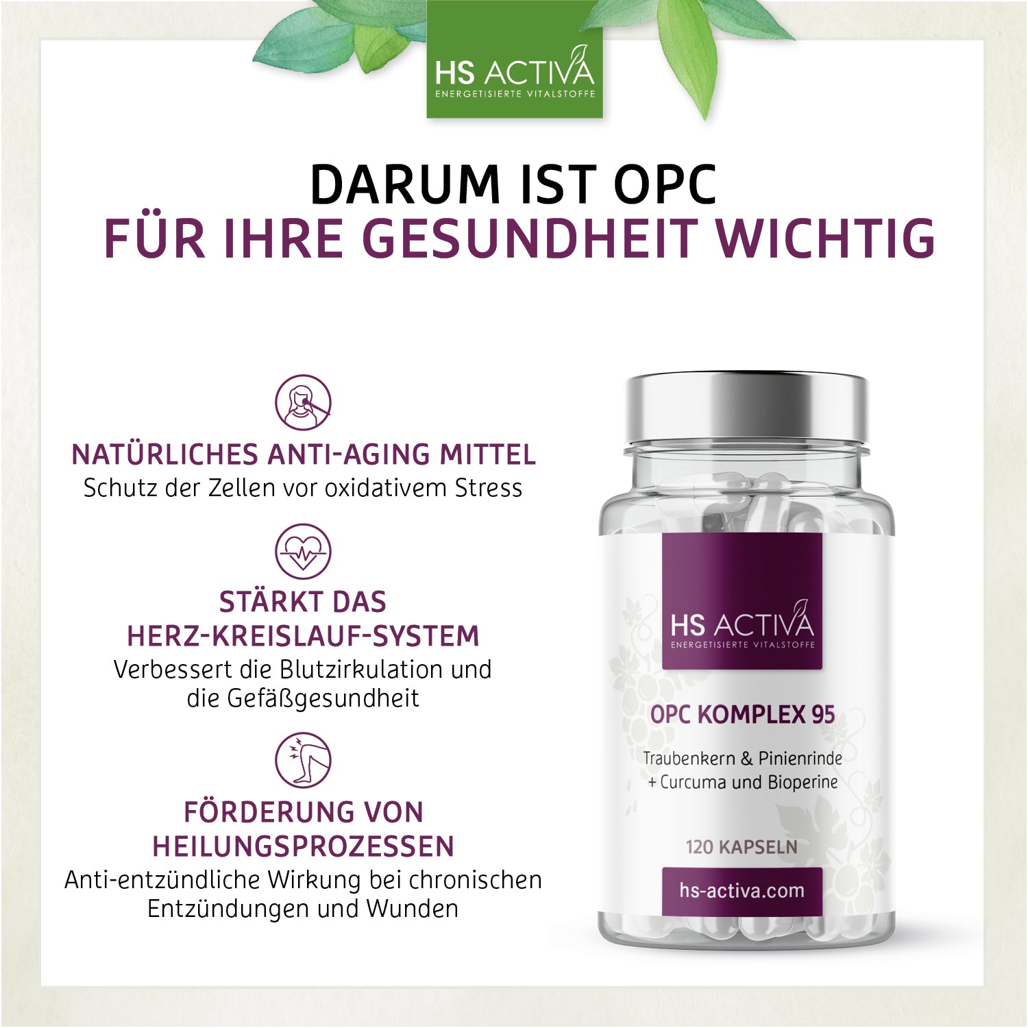 OPC Komplex 95 - Traubenkern & Pinienrinde + Curcuma und Bioperine (120 Kapseln)