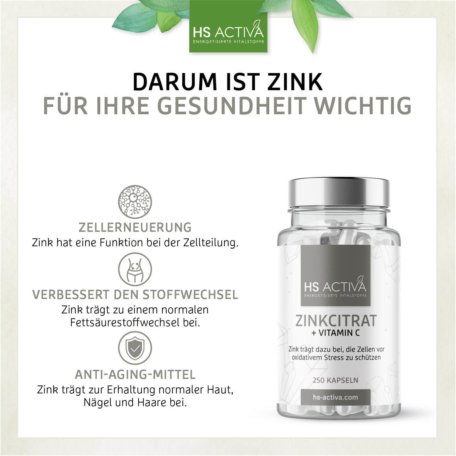Zink 50 Plus C (Großpackung: 250 Kapseln)