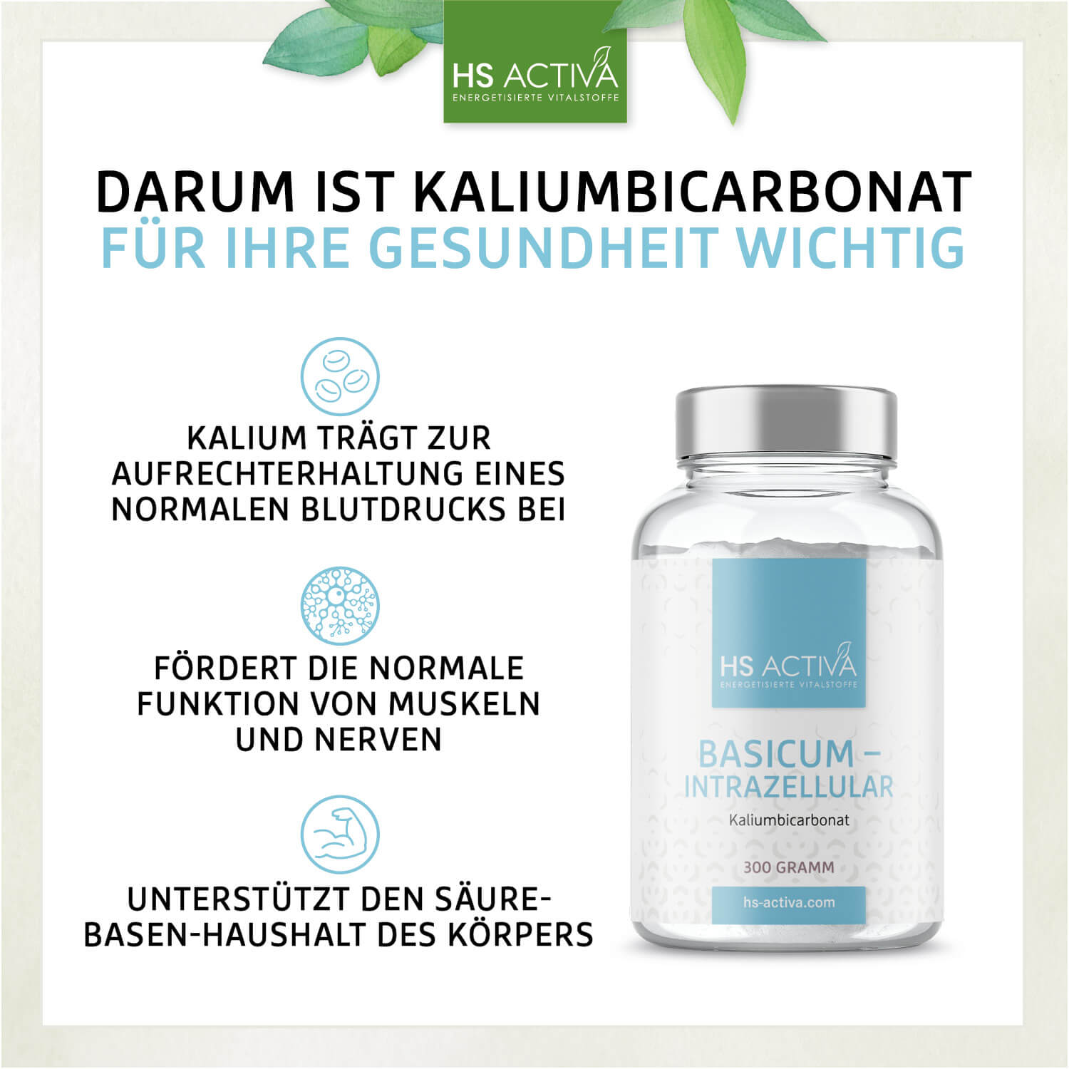 Basicum | Intrazellular | Kaliumbicarbonat | 300 g