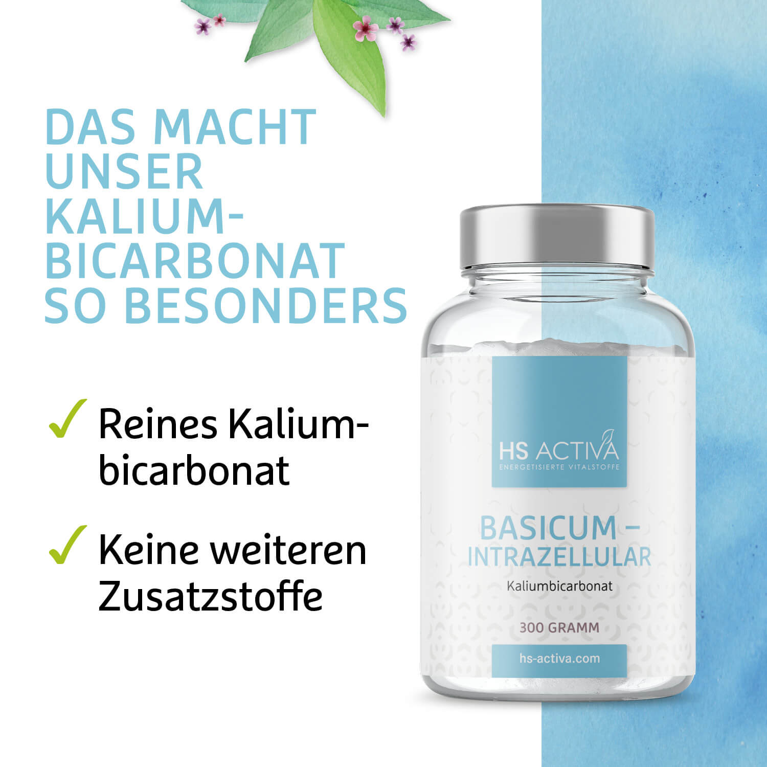 Basicum | Intrazellular | Kaliumbicarbonat | 300 g