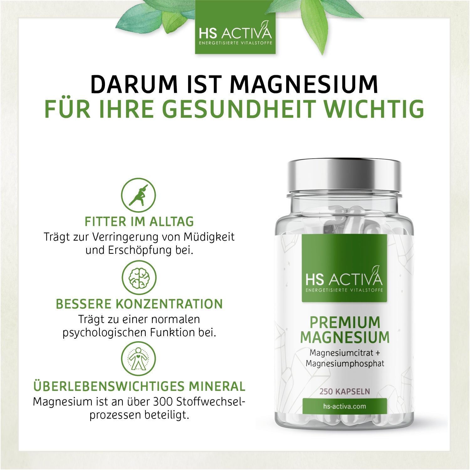 Premium Magnesium (250 Kapseln)