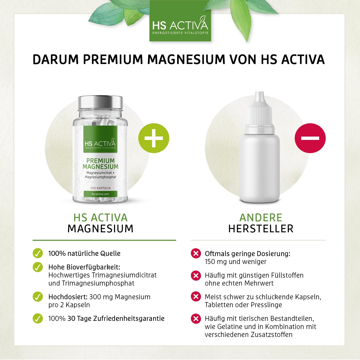 Premium Magnesium (250 Kapseln)