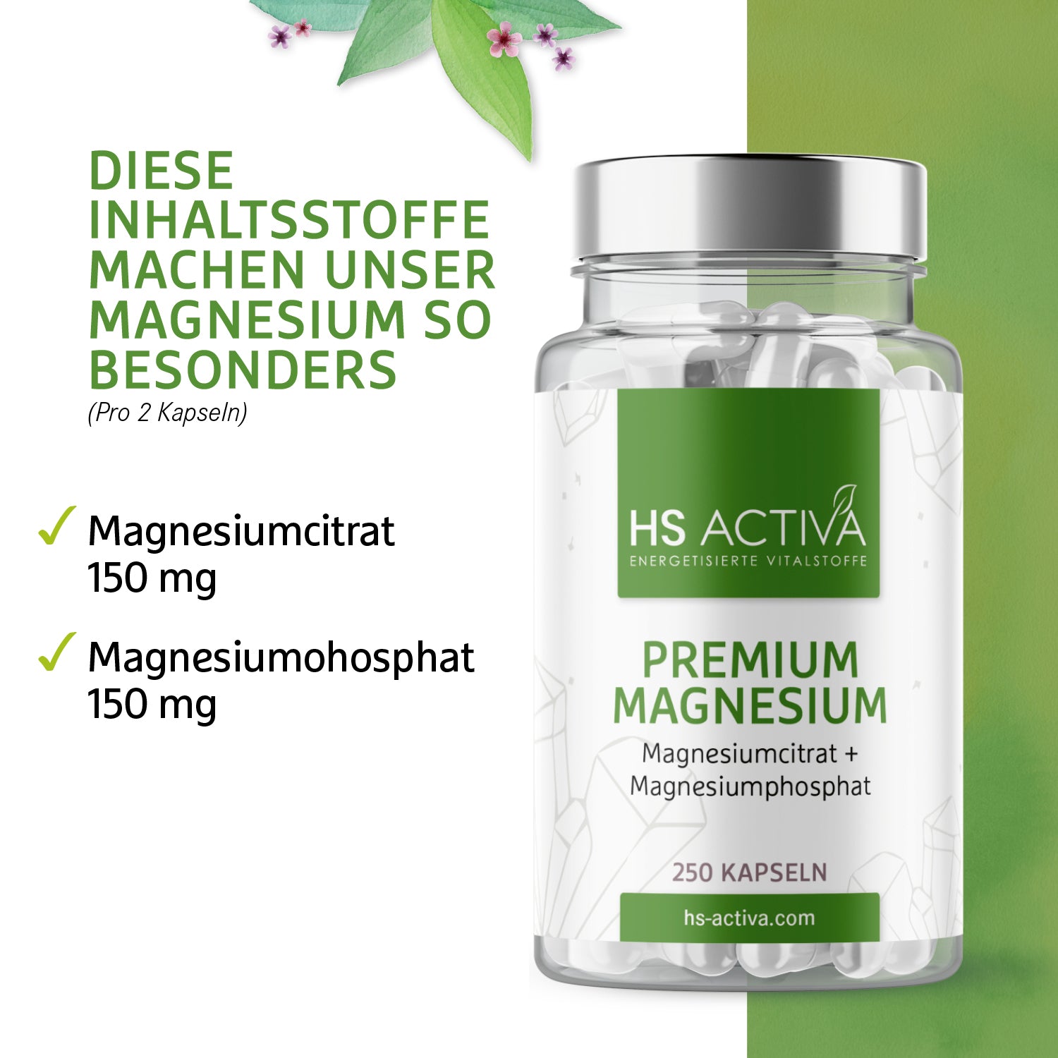 Premium Magnesium (250 Kapseln)