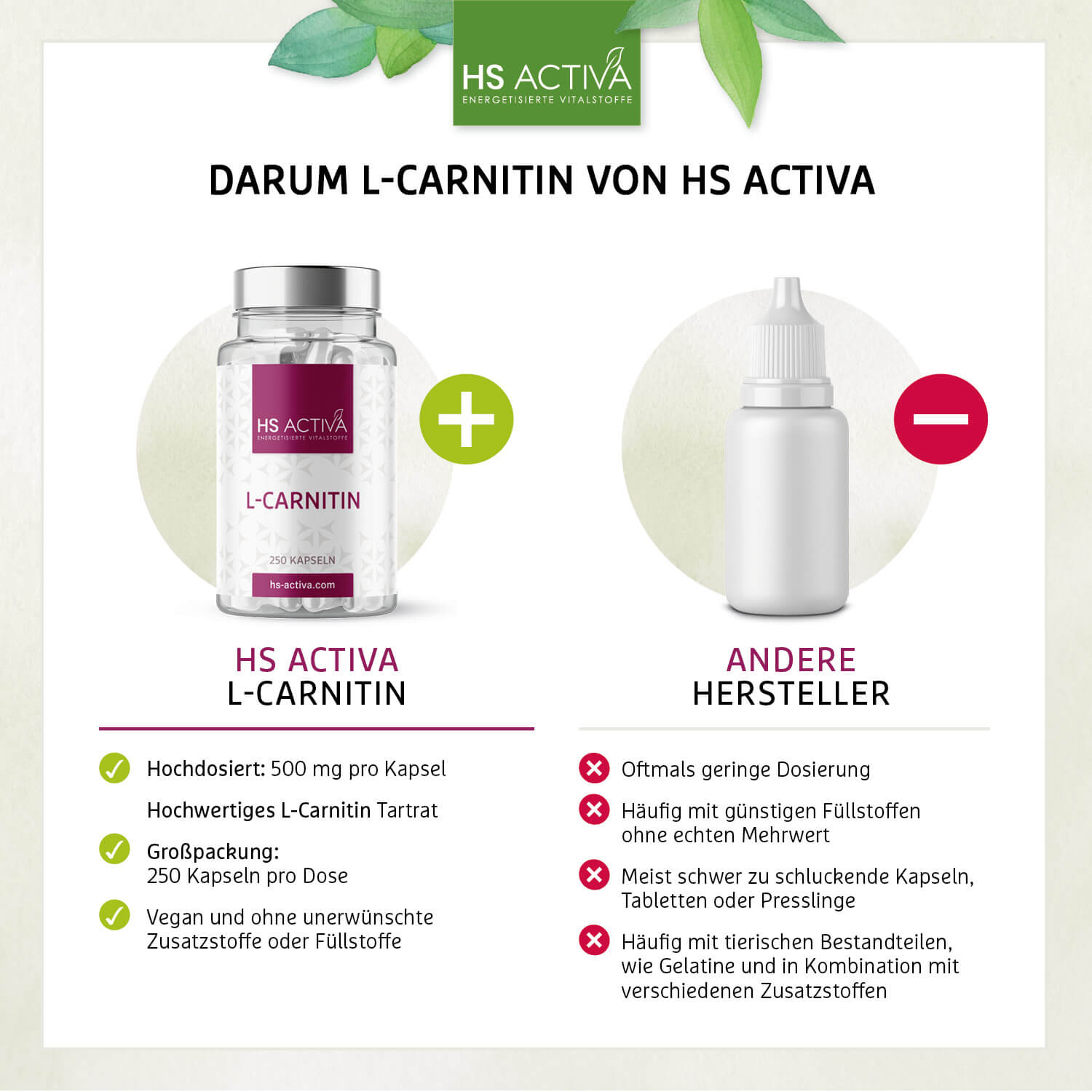 L-Carnitin (Großpackung: 250 Kapseln)