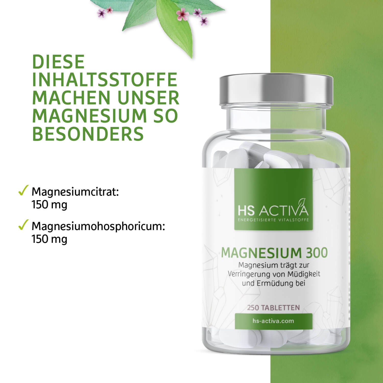 Magnesium 300 (250 Tabletten)