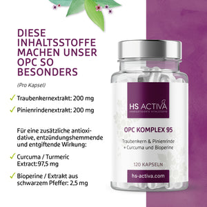 OPC Komplex 95 - Traubenkern & Pinienrinde + Curcuma und Bioperine (120 Kapseln)