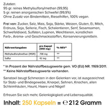 Laden Sie das Bild in den Galerie-Viewer, Gelenk Komplex (MSM Plus Schwefel) - 250 Kapseln
